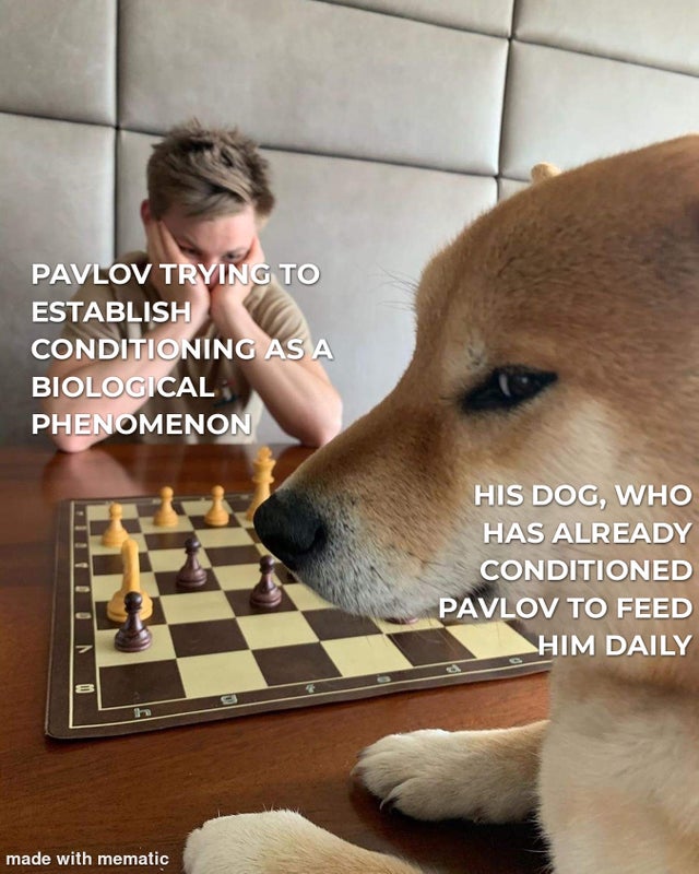 Pavlov, uno reverse